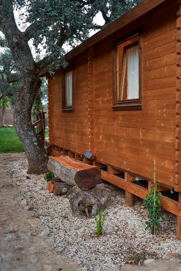 Cabana Rural El Arbol Near Setenil - Ronda Con Piscina Exterior photo